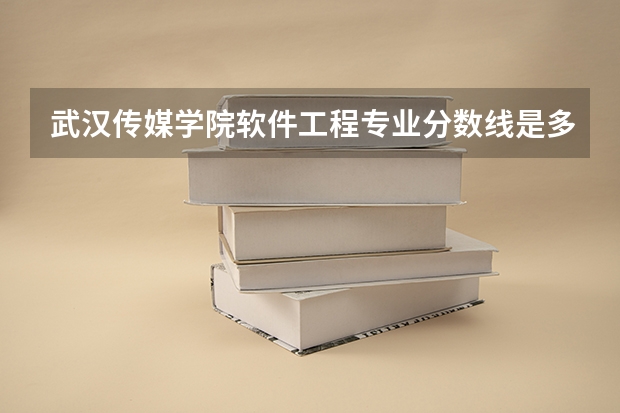 武汉传媒学院软件工程专业分数线是多少(近三年分数线一览)
