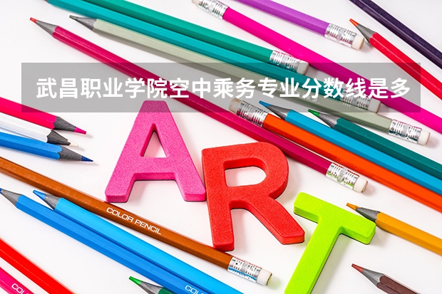 武昌职业学院空中乘务专业分数线是多少(近三年分数线一览)