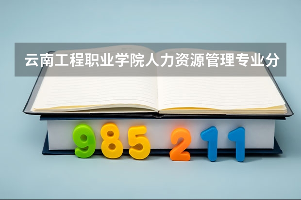 云南工程职业学院人力资源管理专业分数线是多少(近三年分数线一览)