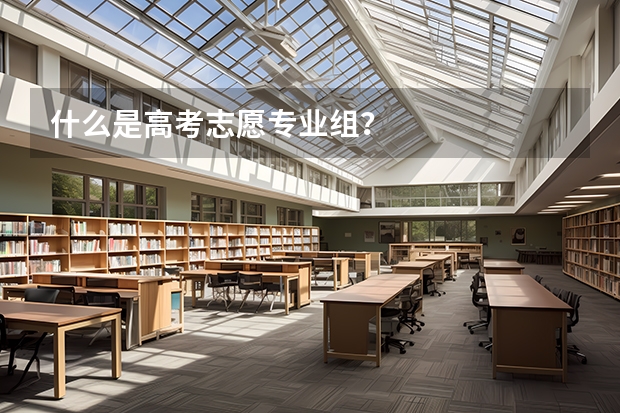 什么是高考志愿专业组？