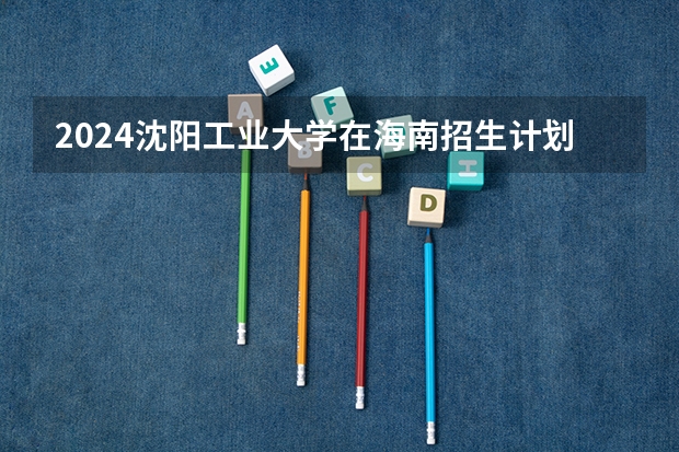 2024沈阳工业大学在海南招生计划表
