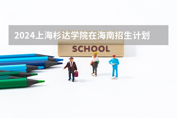 2024上海杉达学院在海南招生计划表