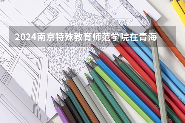 2024南京特殊教育师范学院在青海招生计划表