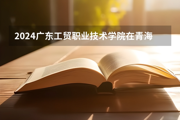 2024广东工贸职业技术学院在青海招生计划表
