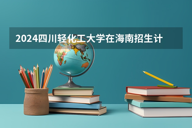 2024四川轻化工大学在海南招生计划表