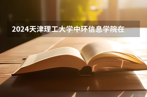 2024天津理工大学中环信息学院在宁夏招生计划表