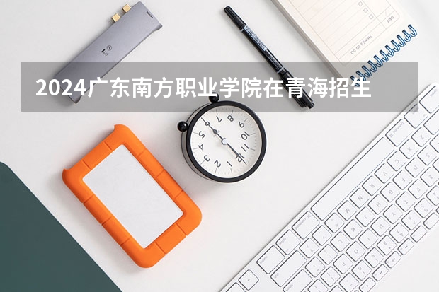 2024广东南方职业学院在青海招生计划表