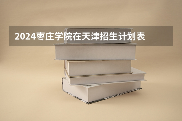 2024枣庄学院在天津招生计划表
