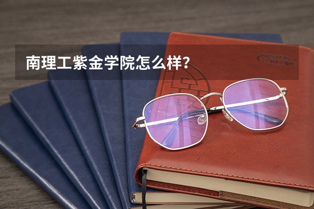 南理工紫金学院怎么样？