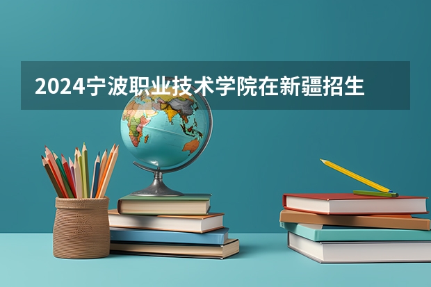 2024宁波职业技术学院在新疆招生计划表