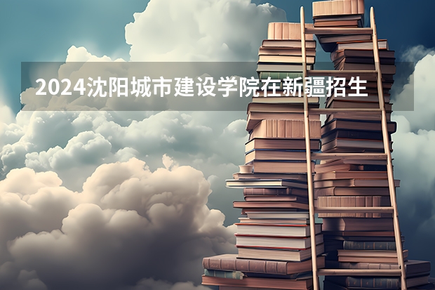 2024沈阳城市建设学院在新疆招生计划表