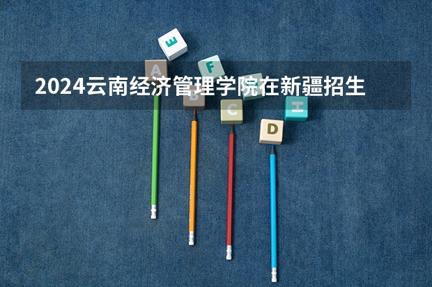2024云南经济管理学院在新疆招生计划表