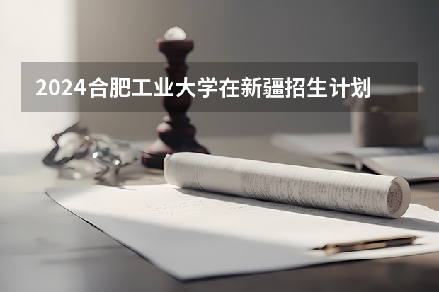 2024合肥工业大学在新疆招生计划表