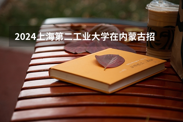 2024上海第二工业大学在内蒙古招生计划表