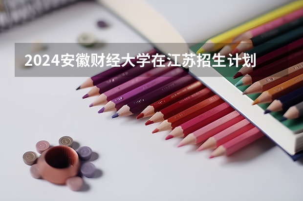 2024安徽财经大学在江苏招生计划表