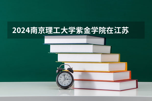 2024南京理工大学紫金学院在江苏招生计划表