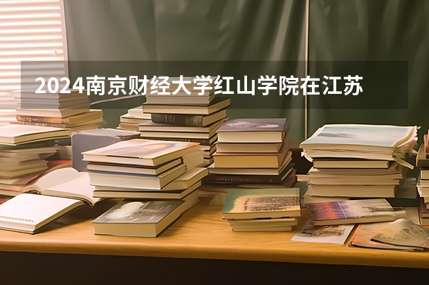 2024南京财经大学红山学院在江苏招生计划表
