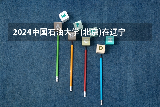 2024中国石油大学(北京)在辽宁招生计划表