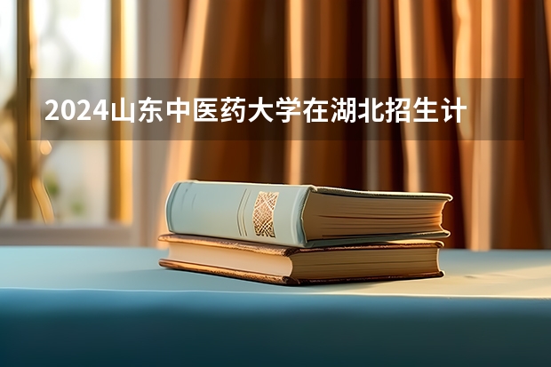 2024山东中医药大学在湖北招生计划表