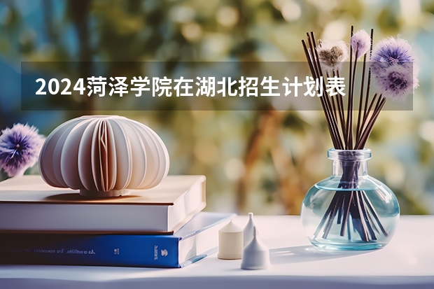 2024菏泽学院在湖北招生计划表