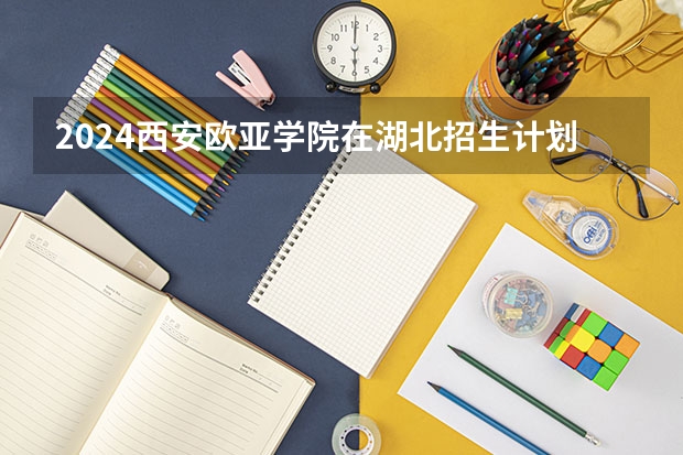 2024西安欧亚学院在湖北招生计划表