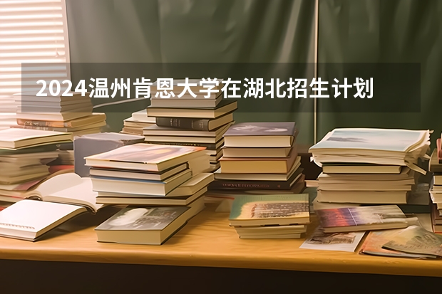 2024温州肯恩大学在湖北招生计划表