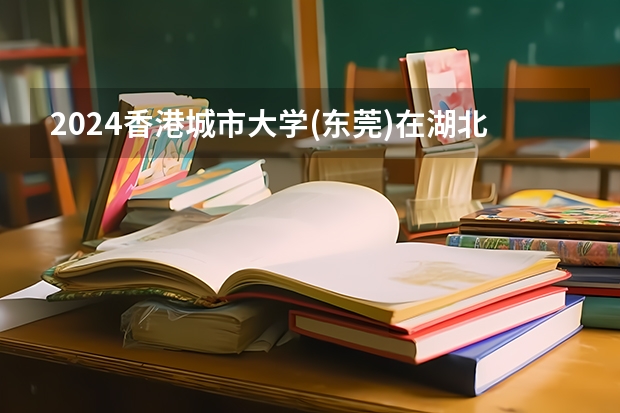 2024香港城市大学(东莞)在湖北招生计划表