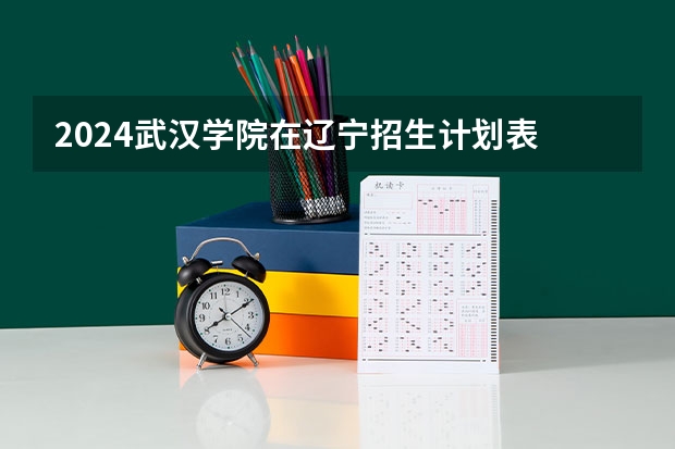2024武汉学院在辽宁招生计划表