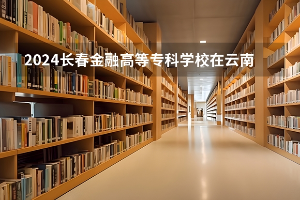 2024长春金融高等专科学校在云南招生计划表