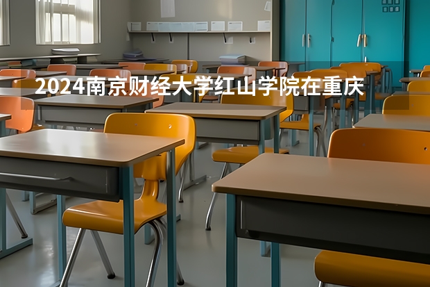 2024南京财经大学红山学院在重庆招生计划表