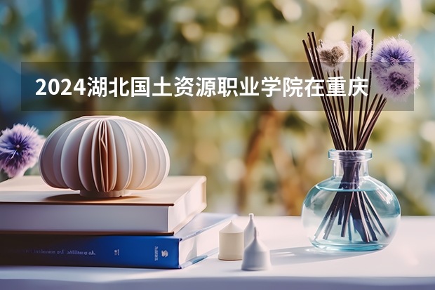 2024湖北国土资源职业学院在重庆招生计划表