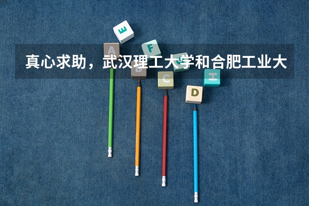 真心求助,武汉理工大学和合肥工业大学哪个比较好
