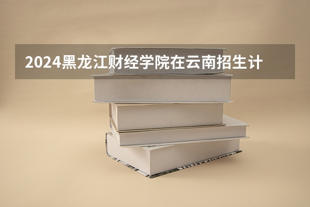 2024黑龙江财经学院在云南招生计划表