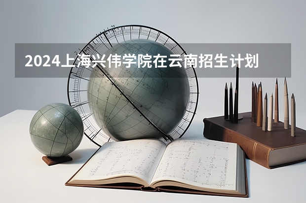 2024上海兴伟学院在云南招生计划表
