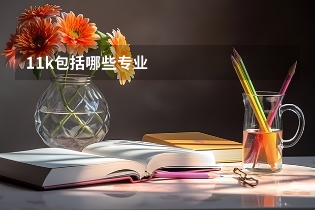 11k包括哪些专业