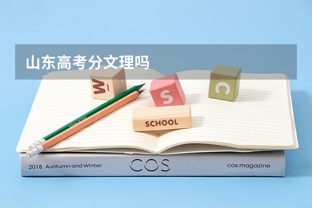 山东高考分文理吗