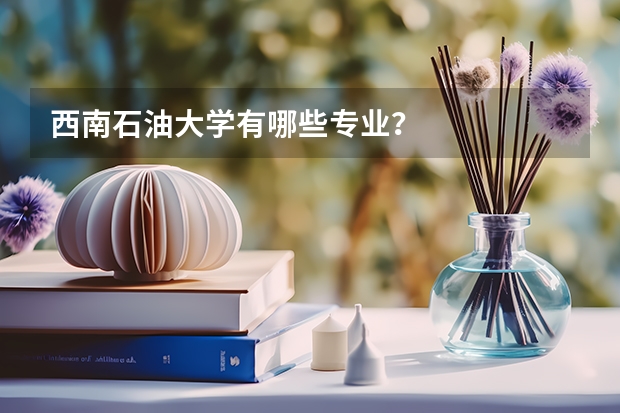 西南石油大学有哪些专业?