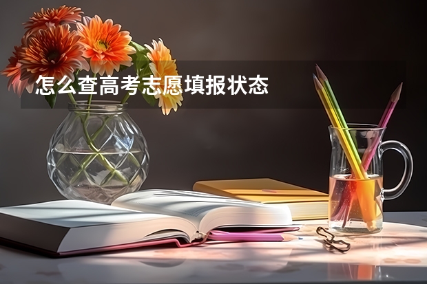 怎么查高考志愿填报状态