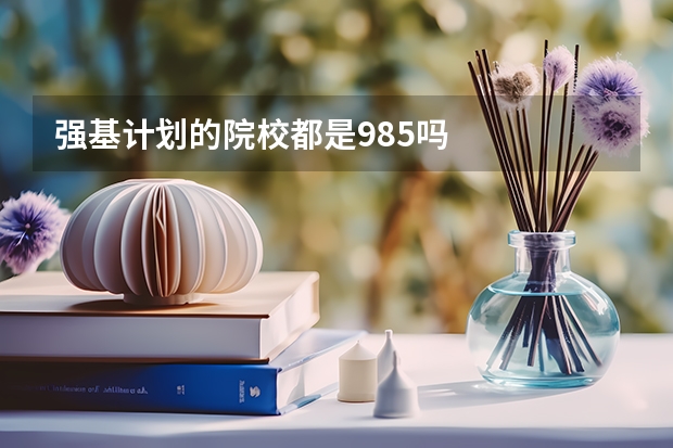强基计划的院校都是985吗