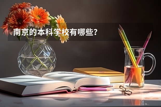 南京的本科学校有哪些?