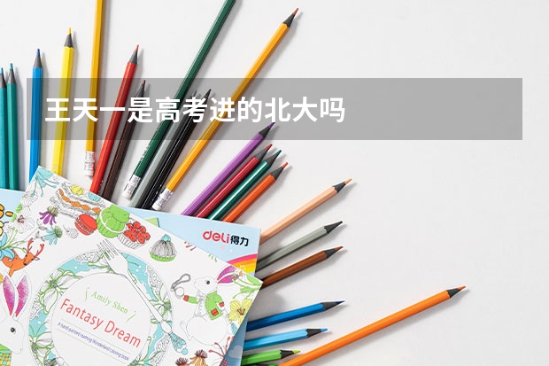 王天一是高考进的北大吗