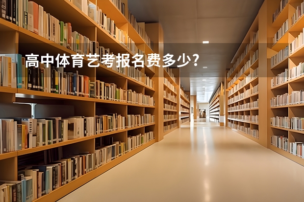 高中体育艺考报名费多少?
