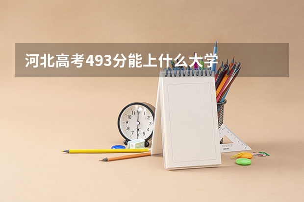 河北高考493分能上什么大学