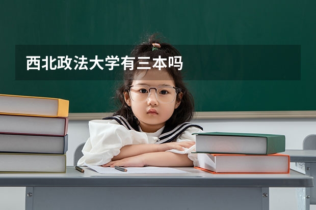 西北政法大学有三本吗