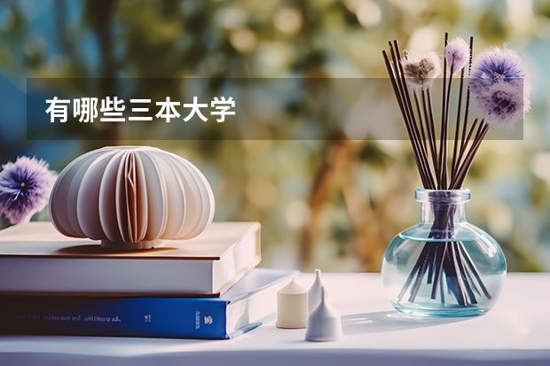 有哪些三本大学