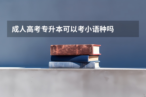 成人高考专升本可以考小语种吗