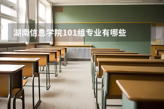 湖南信息学院101组专业有哪些