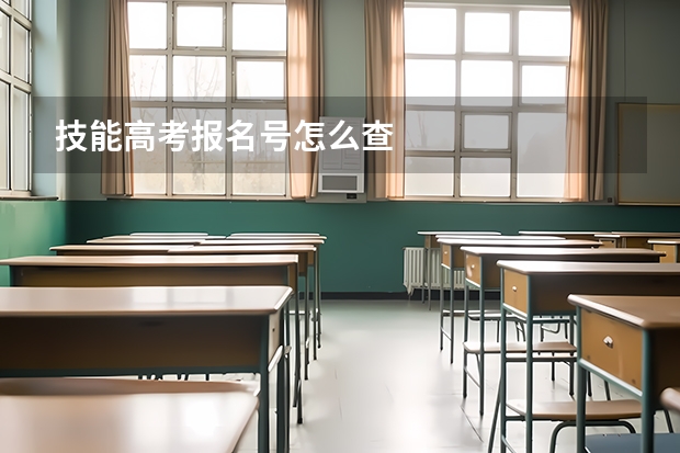 技能高考报名号怎么查