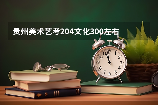 贵州美术艺考204文化300左右 理科生可以报什么学校？