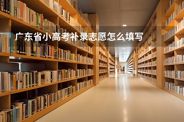 广东省小高考补录志愿怎么填写